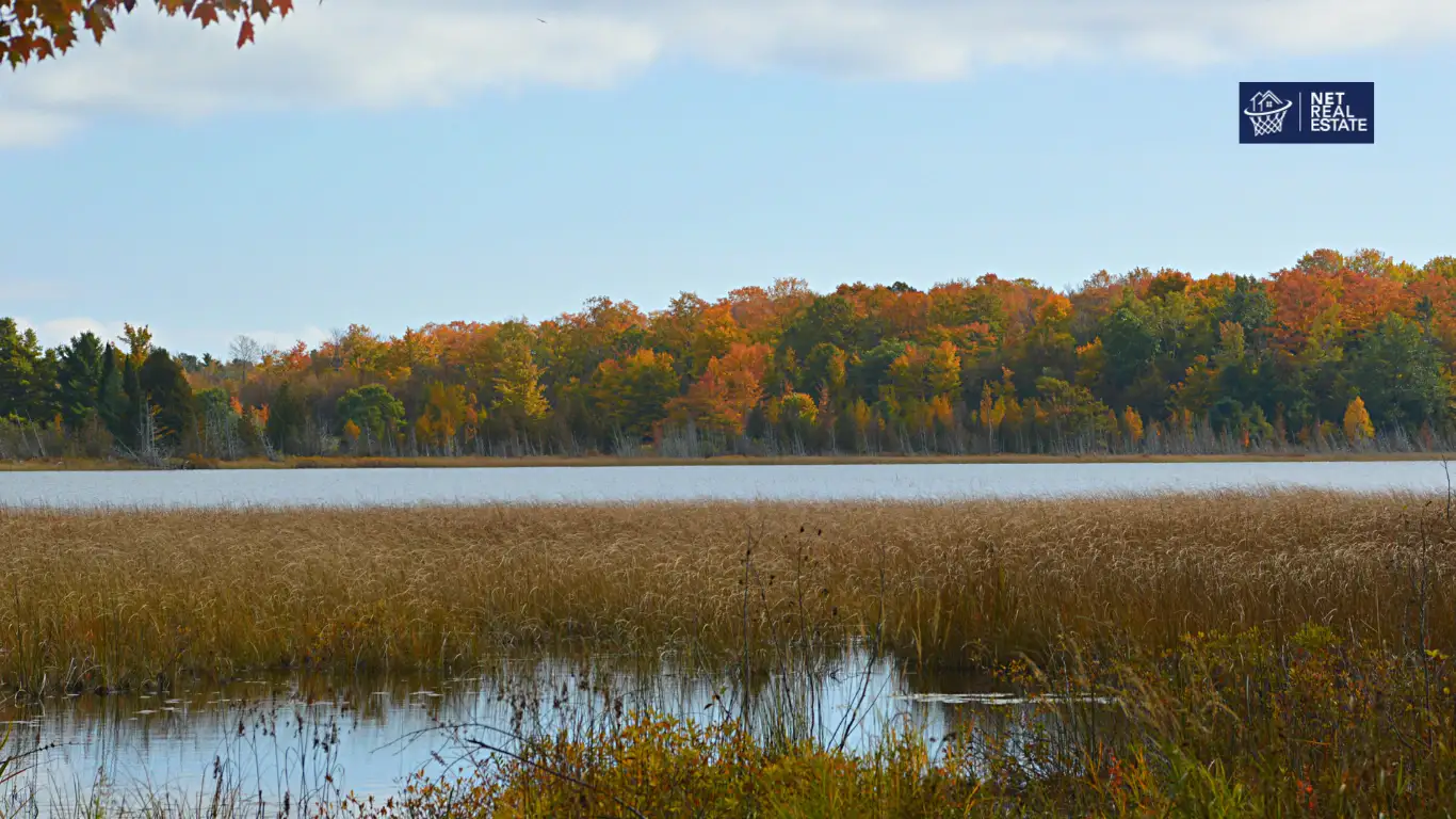 Living in Lake Leelanau MI