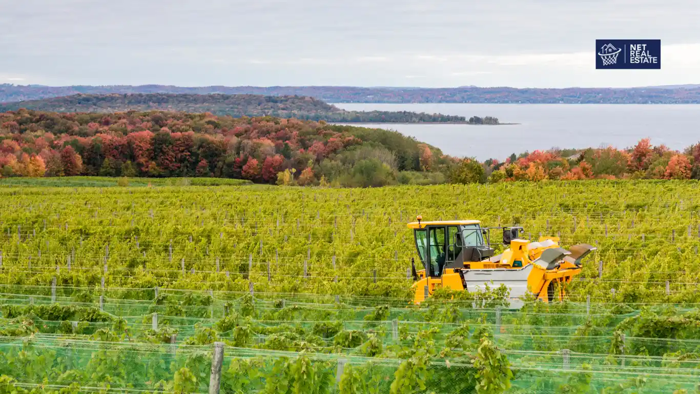 Living in Old Mission Peninsula MI Vineyard