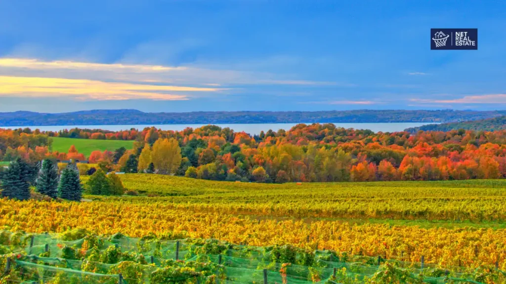 Living in Traverse City MI Vineyard - Sander Scott Net Real Estate