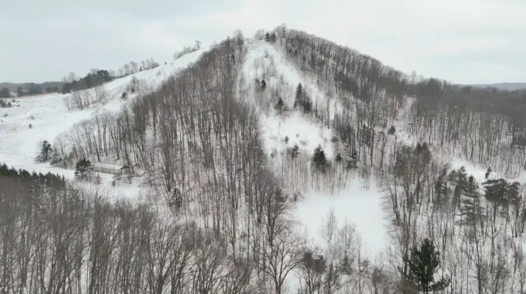 Sugar Loaf preservation