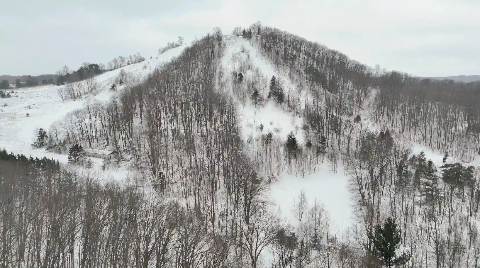 Sugar Loaf preservation