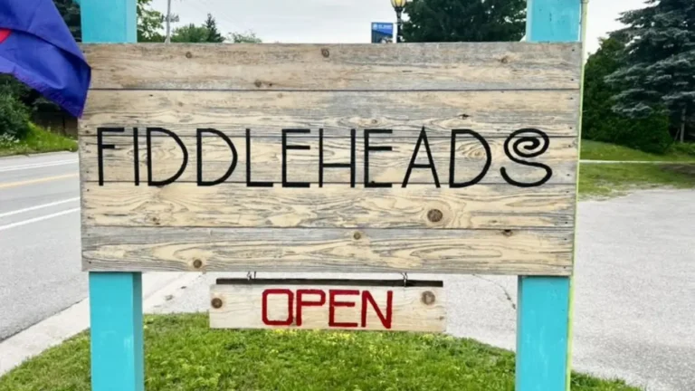 fiddleheads lake leelanau